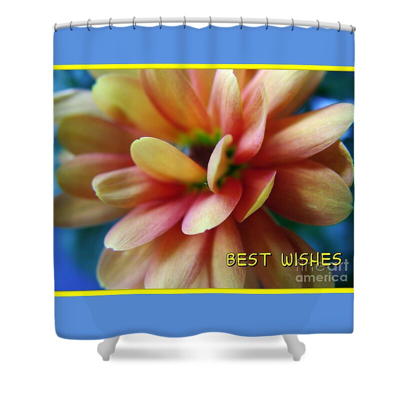 Miniature Dahlia Shower Curtain featuring the photograph Dahlia Greetings by Joan-Violet Stretch