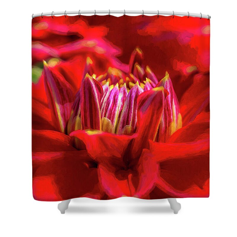 Dahlia Shower Curtain featuring the photograph Dahlia Study 1 Painterly by Scott Campbell