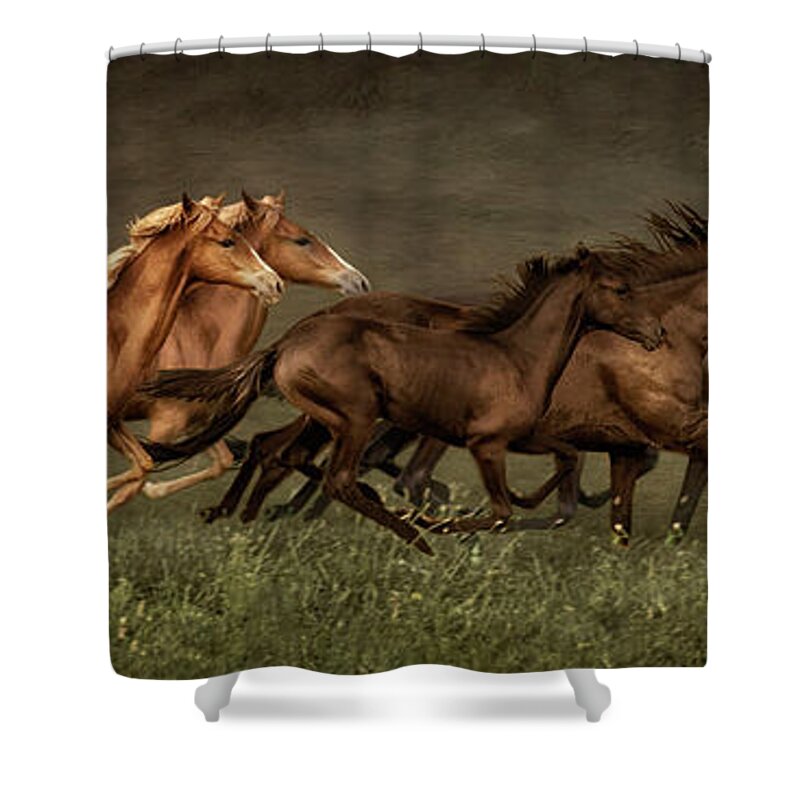 Horses Shower Curtain featuring the digital art Daily Double by Priscilla Burgers