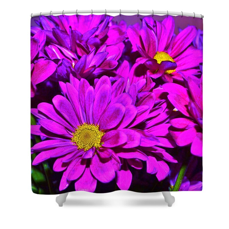 Daisies Shower Curtain featuring the photograph Daisies by Eileen Brymer