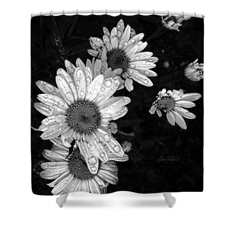 Fdaisy Shower Curtain featuring the photograph Daisies In Black And White - photography by Ann Powell