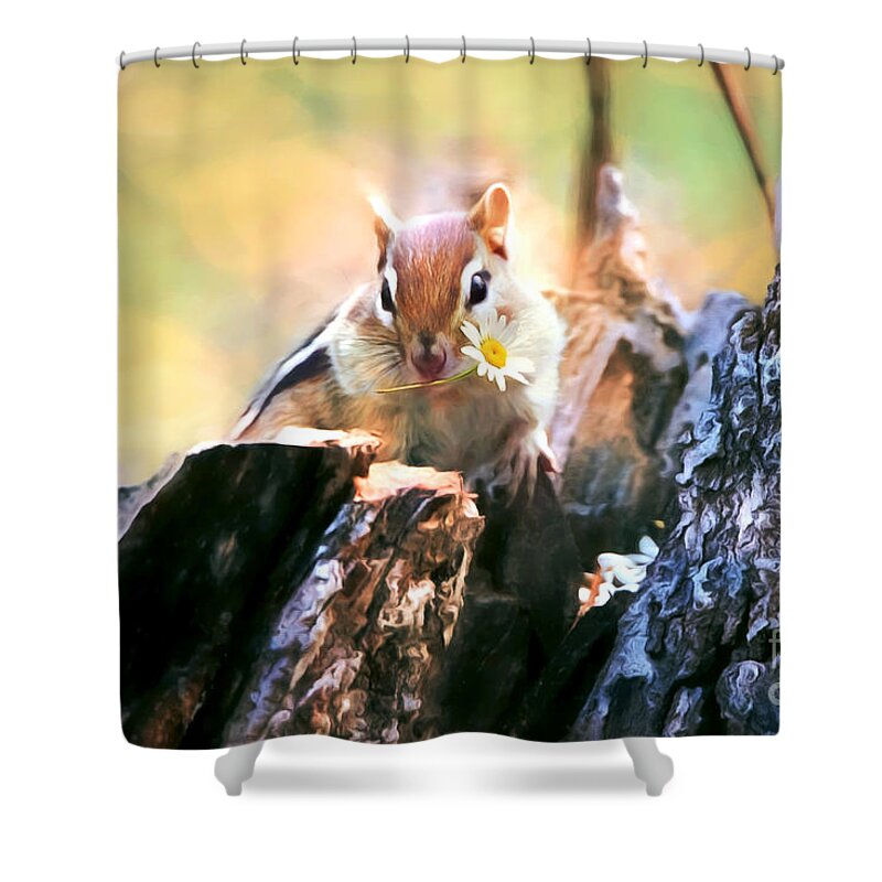 Chipmunk Shower Curtain featuring the photograph Daisy Girl by Tina LeCour
