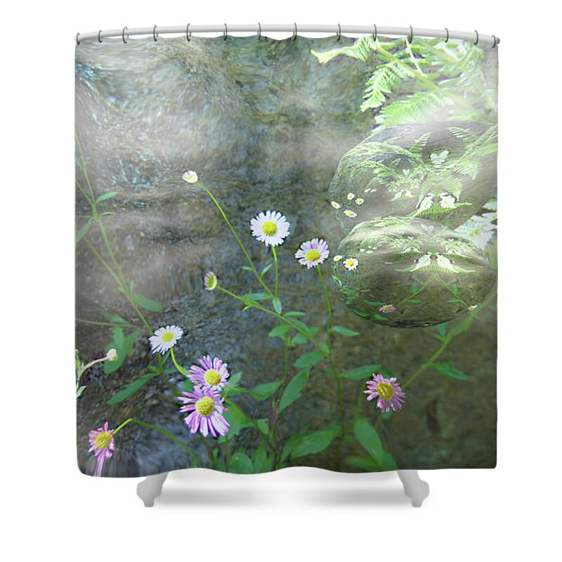 Daisy Shower Curtain featuring the photograph Daisy Mist by Elaine Hunter