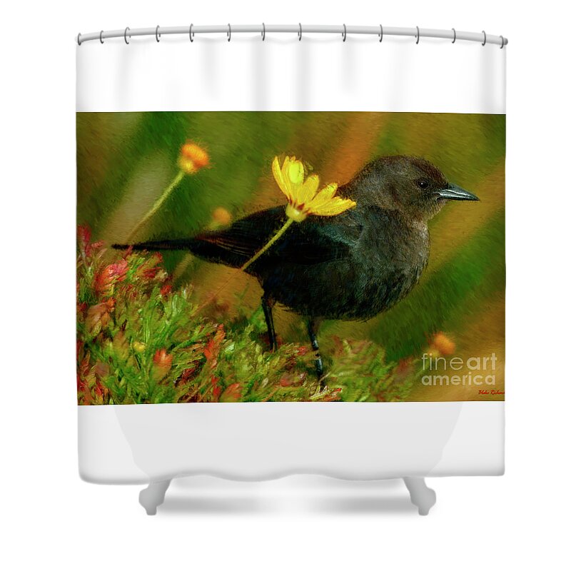  Shower Curtain featuring the photograph Daisy My Friend by Blake Richards