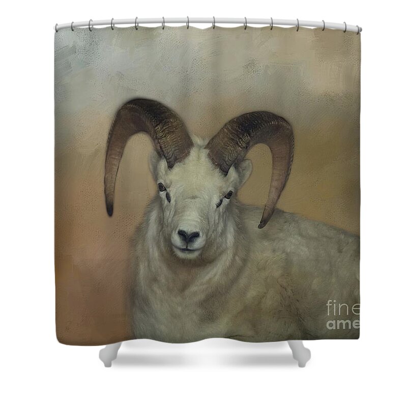 Dall Sheep Shower Curtains