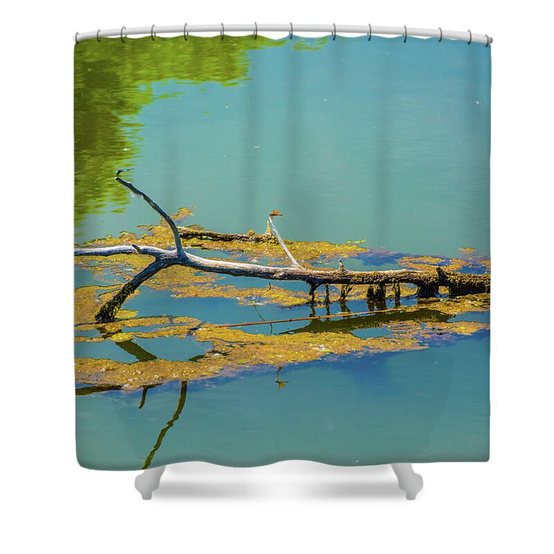 Barr Lake Shower Curtain featuring the photograph Damselfly on a Branch On A Lake by Tom Potter