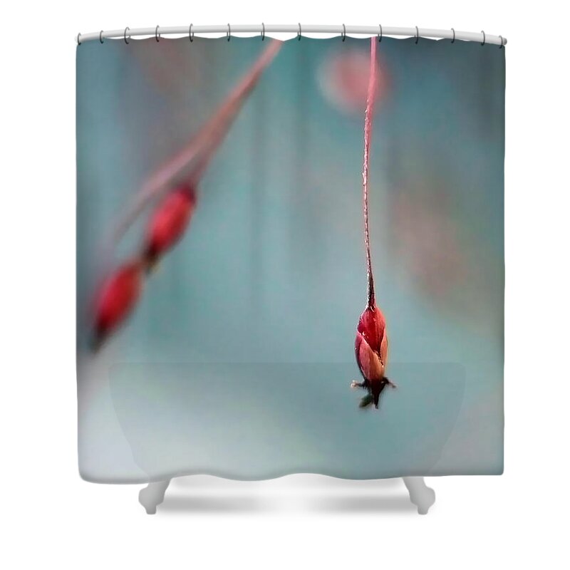 Abstract Shower Curtain featuring the photograph Dance by Lauren Radke