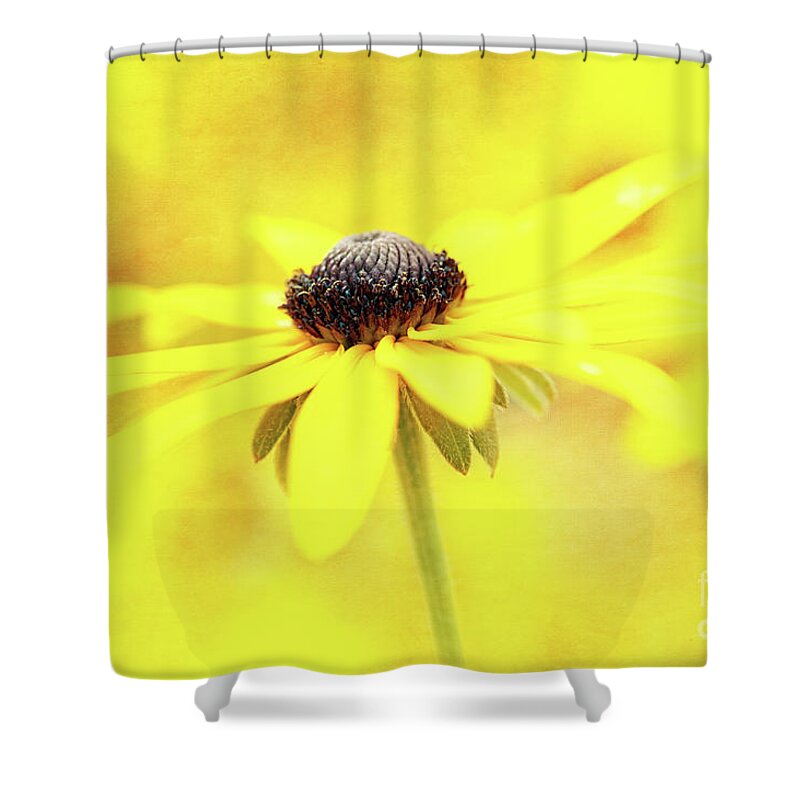 Black-eyed Susan Shower Curtain featuring the photograph Dance of Joy by Anita Pollak