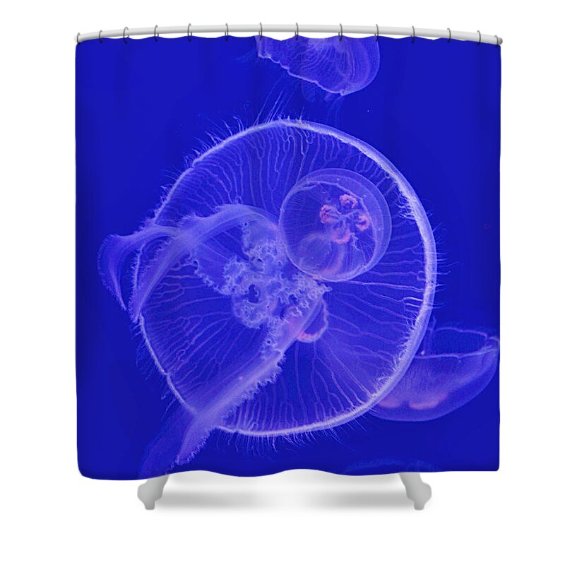 Dance Shower Curtain featuring the digital art Dance With Jellyfish by Leo Symon