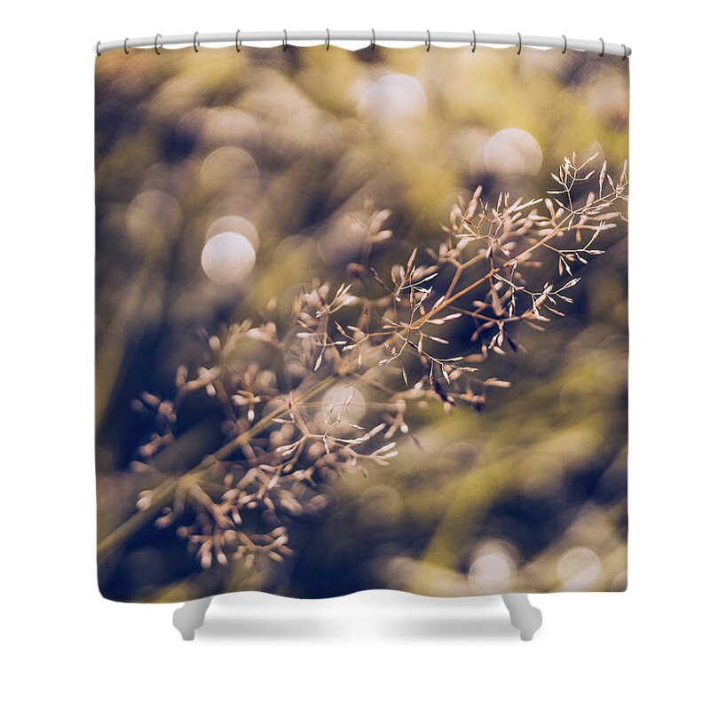 Bokeh Shower Curtain featuring the photograph Dance with Lights by Gene Garnace