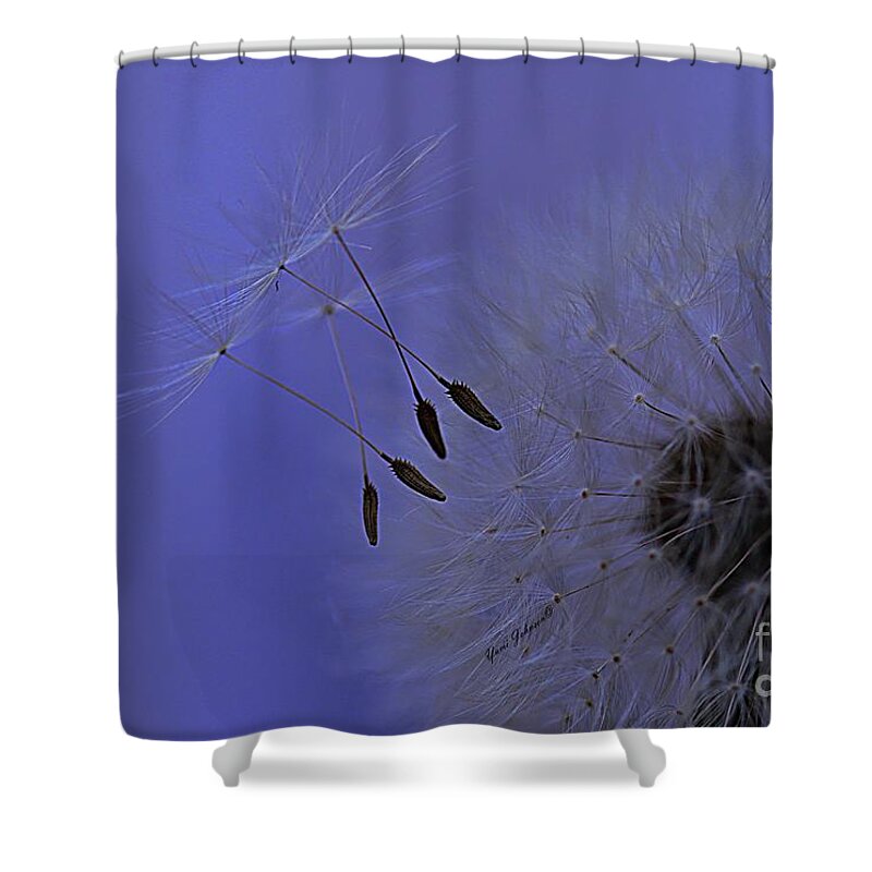 Dandelion Shower Curtain featuring the photograph Dancers by Yumi Johnson