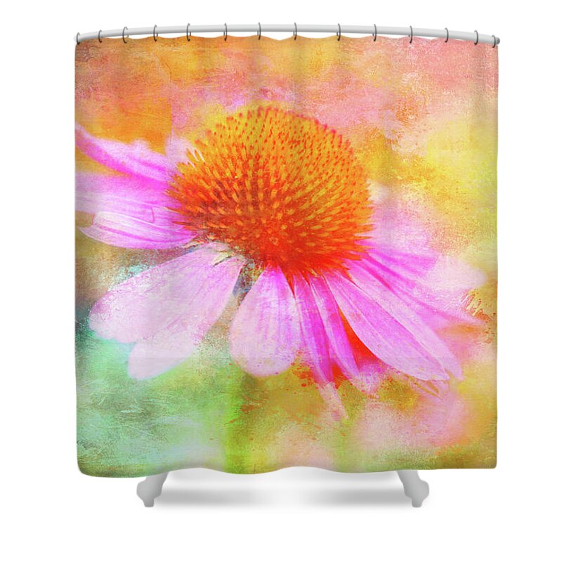 Coneflower Shower Curtain featuring the photograph Dancing Coneflower Abstract by Anita Pollak