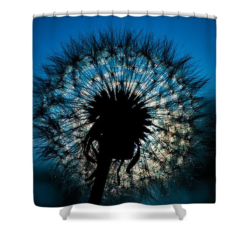 Dandelion Shower Curtain featuring the photograph Dandelion Dream by Jason Moynihan