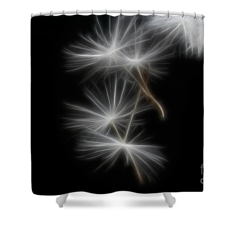 Botanical Shower Curtain featuring the photograph Dandelion Glow by Ann Garrett