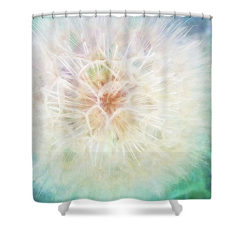 Photography Shower Curtain featuring the digital art Dandelion In Winter by Terry Davis
