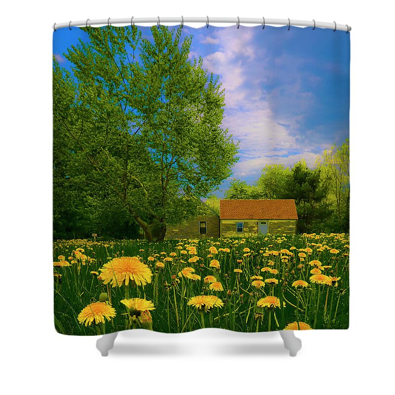 Dandelions Shower Curtain featuring the photograph Dandy on In by Jeff Cooper