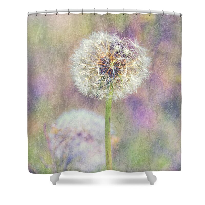 Pastel Shower Curtain featuring the photograph Dandy Pastel Puff by Bill and Linda Tiepelman
