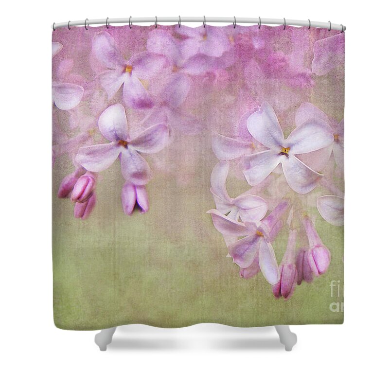 Lavender Lilacs Shower Curtain featuring the photograph Dangle Me Lilac by Kathi Mirto