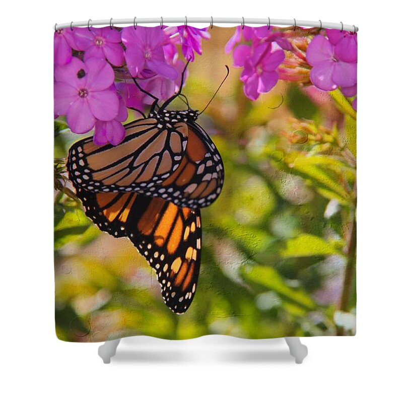 Monarch Shower Curtain featuring the photograph Dangling Monarch  by Yumi Johnson