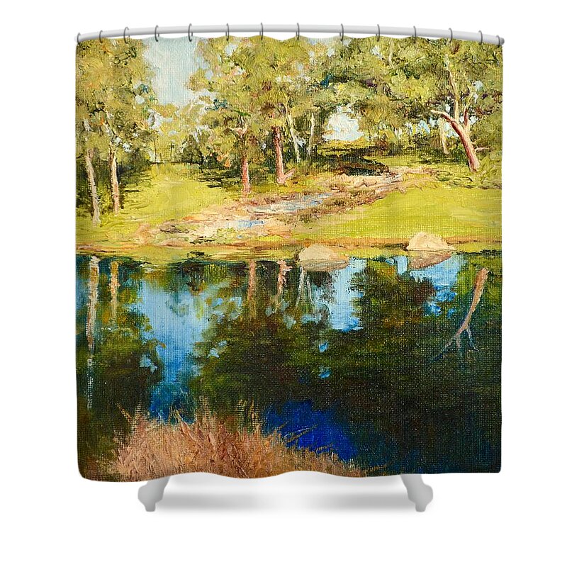 Pond Shower Curtain featuring the painting Darebin Waterfall by Dai Wynn