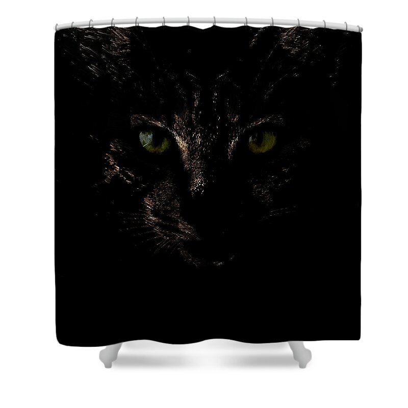 Animal Shower Curtain featuring the photograph Dark Knight by Helga Novelli