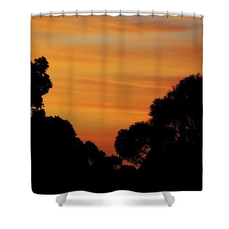 Sunrise Shower Curtain featuring the photograph Dawn In The Forest by Mark Blauhoefer