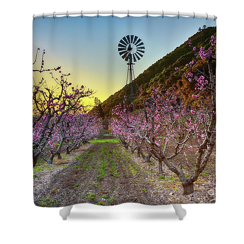 Landscape Shower Curtain featuring the photograph Dawn In The Orchard by Mimi Ditchie