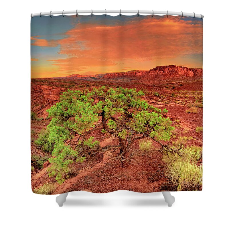 North America Shower Curtain featuring the photograph Dawn Light Capitol Reef National Park Utah by Dave Welling