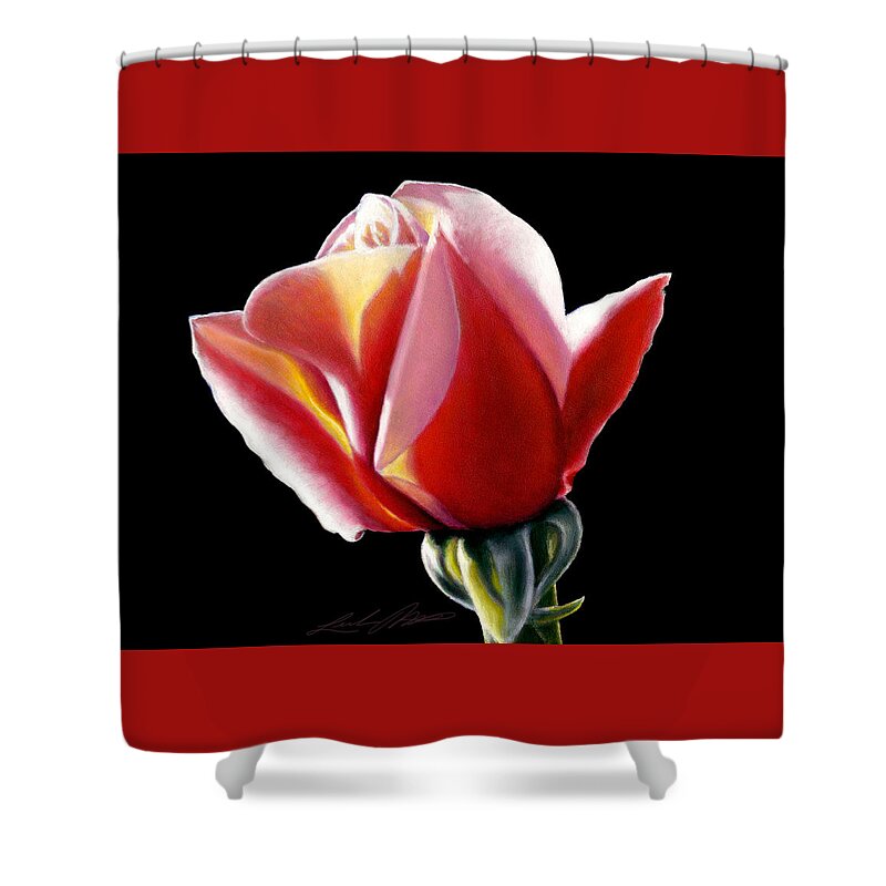 Rose Shower Curtain featuring the painting Dawn's Early Light by Linda Merchant