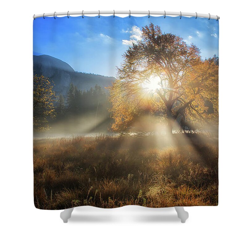 Sunrise Shower Curtain featuring the photograph Day Break by Nicki Frates