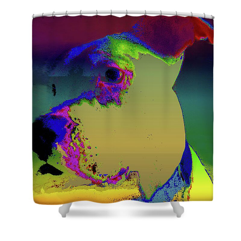 Pit Bull Shower Curtain featuring the photograph Day Day by Robert McCubbin
