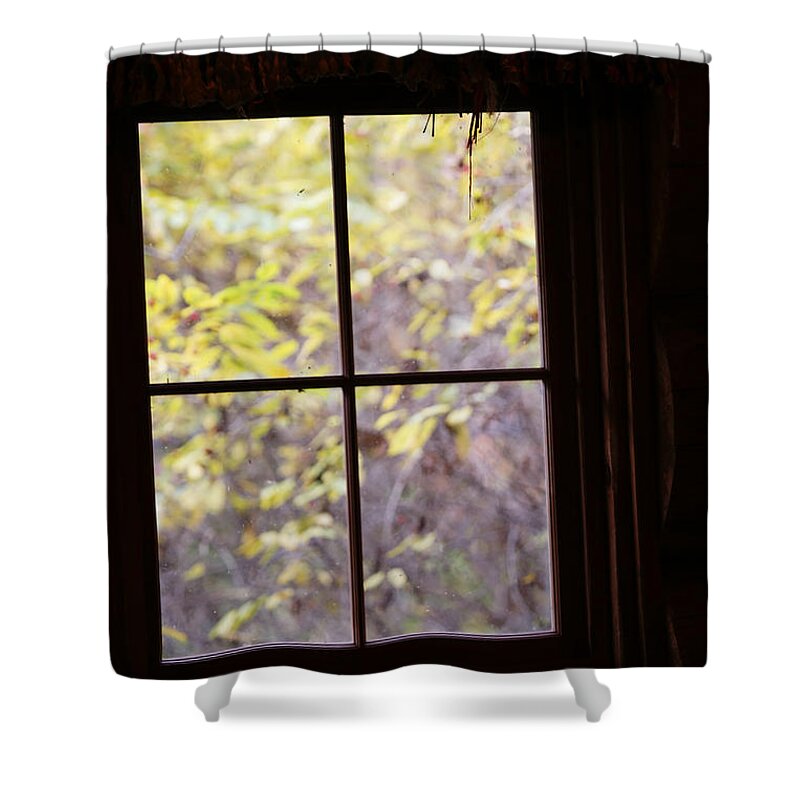 Window Shower Curtain featuring the photograph Daydream by Linda Shafer