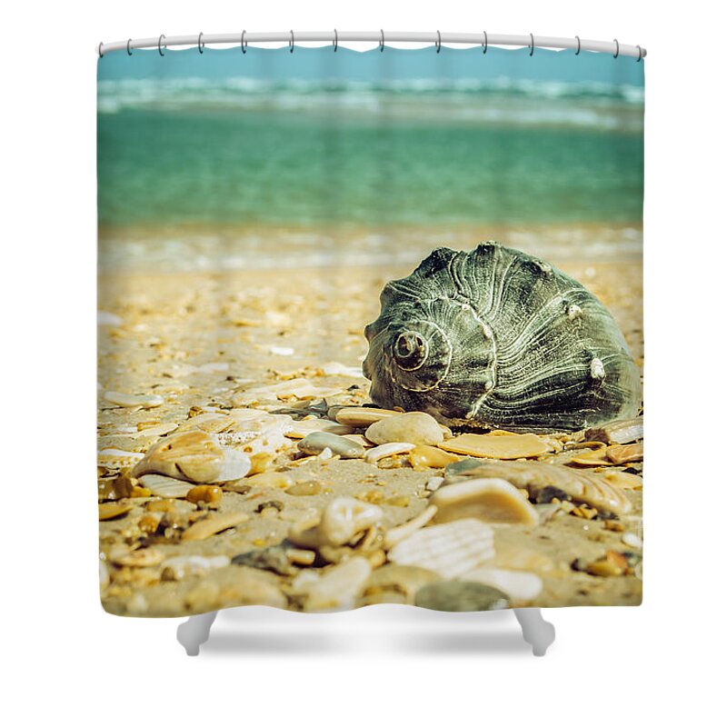 Landscape Shower Curtain featuring the photograph Daydreams on the Shore Nature / Coastal Photograph by PIPA Fine Art - Simply Solid
