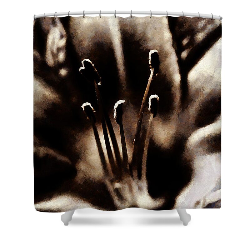 Daylily Shower Curtain featuring the digital art Daylily Study by JGracey Stinson