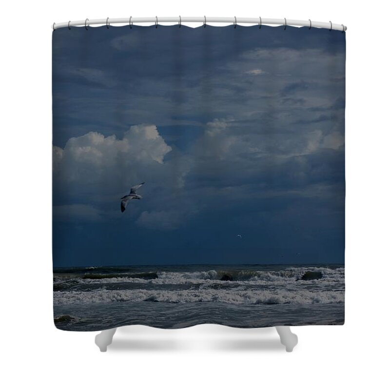 Daytona Beach Shower Curtain featuring the digital art Daytona Beach Kind of Day by David Lane