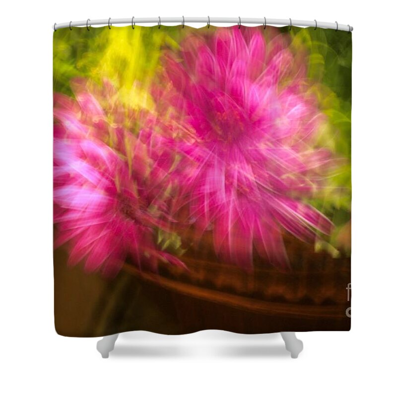 Cathy Dee Janes Shower Curtain featuring the photograph Dazed by Cathy Dee Janes