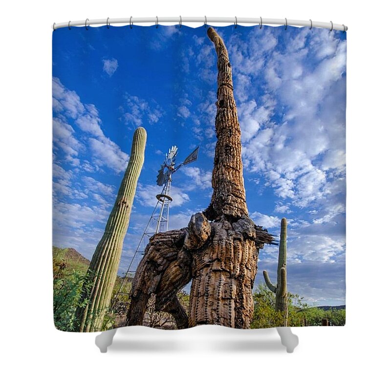 Sonoran Desert Shower Curtains