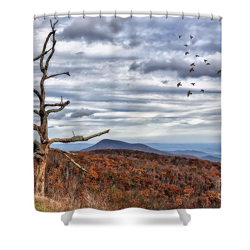 Skyline Drive Shower Curtain featuring the photograph Dead Tree At Skyline Drive by Lois Bryan