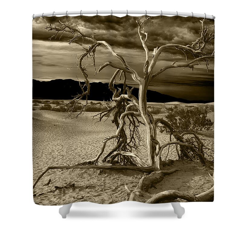 Death Valley Shower Curtain featuring the photograph Dead tree in Death Valley 5 by Micah May