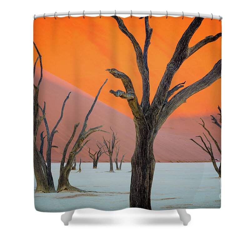 Africa Shower Curtain featuring the photograph Deadvlei Lines by Inge Johnsson