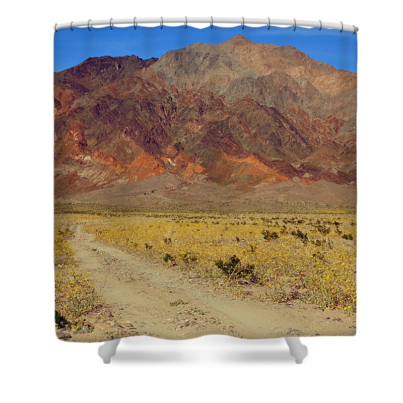 Superbloom 2016 Shower Curtain featuring the photograph Death Valley Superbloom 205 by Daniel Woodrum