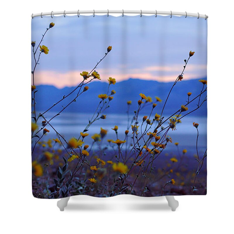 Superbloom 2016 Shower Curtain featuring the photograph Death Valley Superbloom 304 by Daniel Woodrum