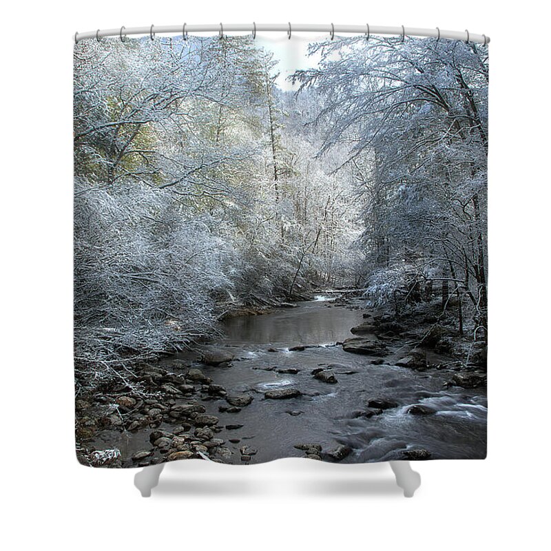 Winter Scene Shower Curtain featuring the photograph December by Mike Eingle
