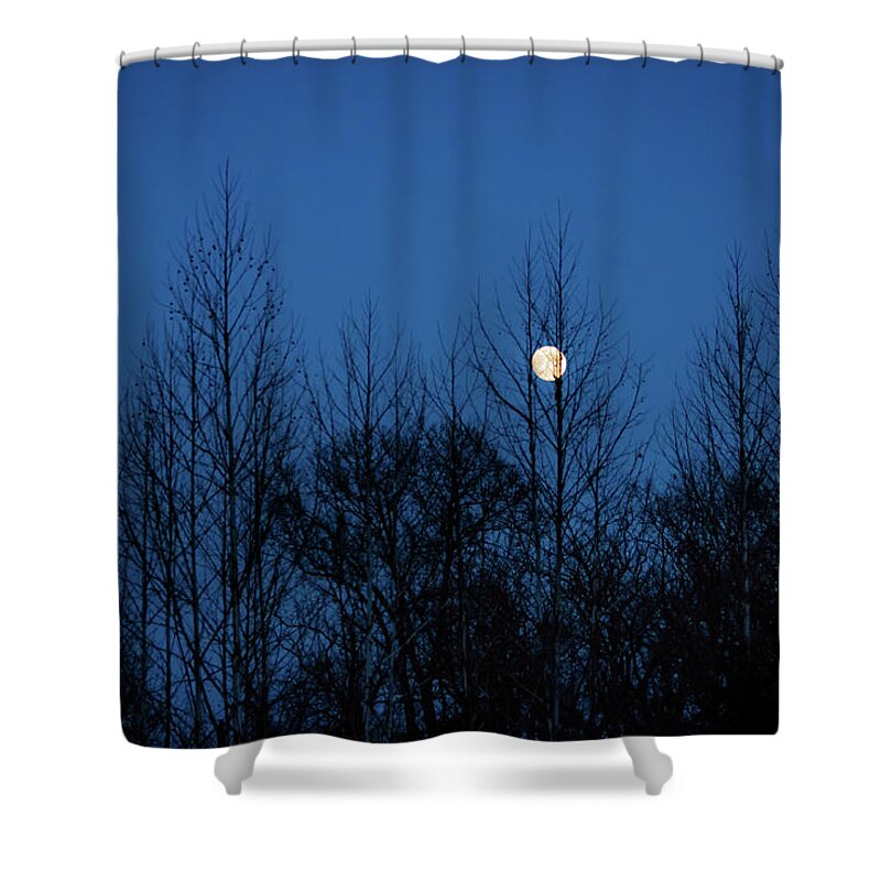 Moon Shower Curtain featuring the photograph December Moon by Jeff Phillippi