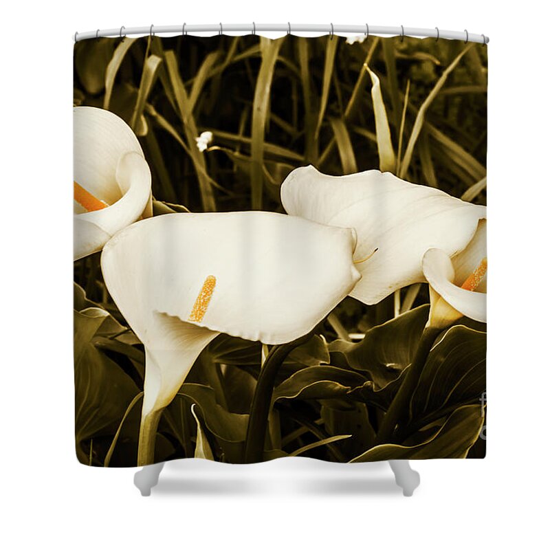 Decorative Spring Garden Shower Curtain for Sale by Jorgo Photography ...