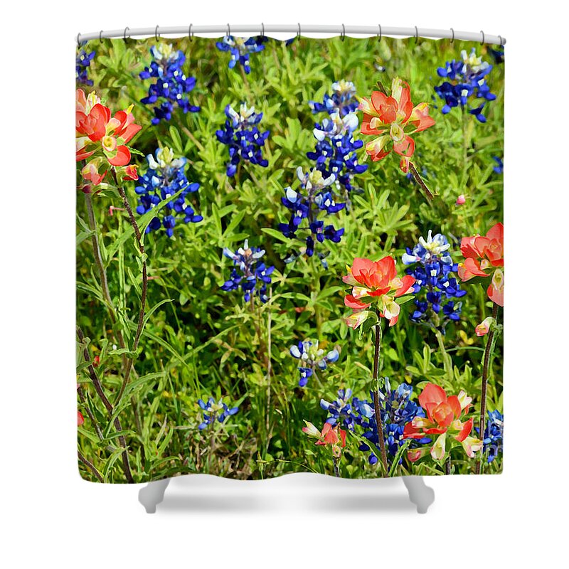 Photo Shower Curtain featuring the photograph Decorative Texas Bluebonnets Meadow Digital Photo G33117 by Mas Art Studio