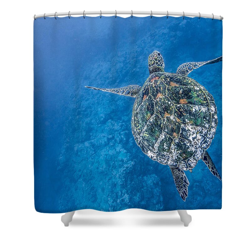 Hawaiian Sea Turtle Shower Curtain featuring the photograph Deep Blue Turtle by Leonardo Dale