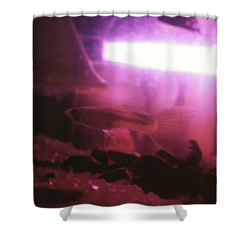 Macro Shower Curtain featuring the photograph Deep In Glass#photography by Bakajiki Artworks