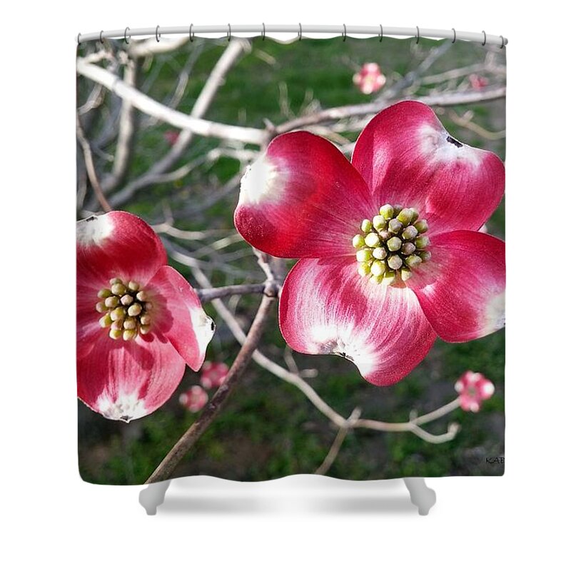 Blossoms Shower Curtain featuring the photograph Deep Pink by Kathy Barney