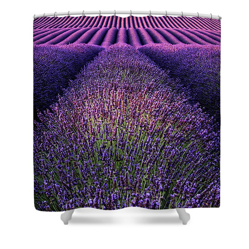 Landscape Shower Curtain featuring the photograph Deep purple by Jorge Maia
